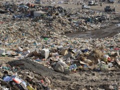 Хогондоо дарагдсан 20 га талбайг нөхөн сэргээж зүлэгжүүлж байна