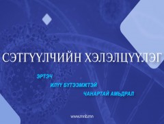 Сэтгүүлчийн хэлэлцүүлэг: Эртэч, илүү бүтээмжтэй, чанартай амьдрал 