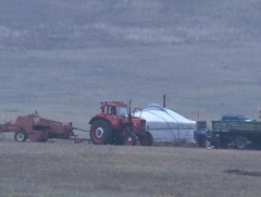 Энэ жил 1.2 сая га талбайгаас хадлан бэлтгэнэ