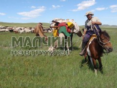 Малчин: Малын өвчлөлт