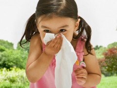 Ургамлын тоосны харшлаас сэргийлэх аргууд...