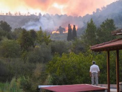 Ой хээрийн түймрийг уур амьсгалын өөрчлөлтийн нөлөө гэж үзэв 
