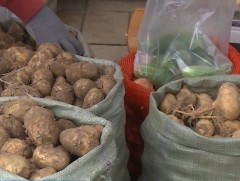 Ногоочид ногоогоо зарах боломж байна уу