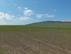 Улсын хэмжээнд 5100 цэгээр дамжуулан бэлчээрээ 