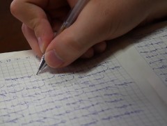 Эрдэмтэд Монгол хэлний шалгалтыг элсэгчдээс заавал авдаг байх санал гаргалаа