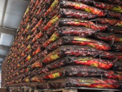 Улаанбаатар хот 45000 тонн шахмал түлшний нөөцтэй байна