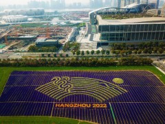 Азийн наадамд эмэгтэй тамирчдын оролцоог нэмэгдүүлэхийг уриалав