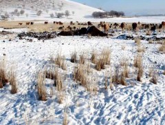 Маргаашнаас ихэнх нутгаар ялимгүй хур тунадас орно