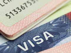 Виз гаргана хэмээн бусдаас 5,1 сая төгрөг залилжээ