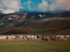 2020, 2021 оны гэрэл зургийн шилдэг бүтээлийн үзэсгэлэн дэлгэгдлээ