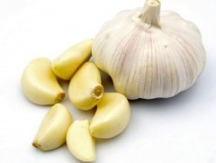 Сармисны шимт чанар, эрүүл мэндэд нөлөөлөх ач тус