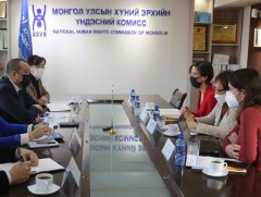 Хүний эрхийн зөвлөлийн тусгай илтгэгч Рем Алсалемыг хүлээн авч уулзлаа