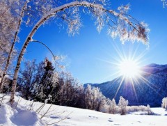 Шинэ сарын шинж