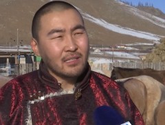 Адууны асрамжийн газар олон улсын 5 байгууллагатай хамтарч ажиллахаар болжээ