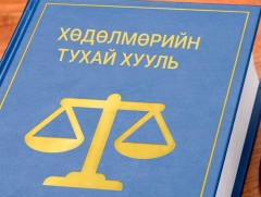 Нэгдүгээр сарын 1-нээс хэрэгжих Хөдөлмөрийн тухай хуульд орсон гол гол өөрчлөлтүүд...