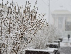 Нийт нутгийн 50 гаруй хувьд цастай байна