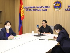 НҮБ-ын Тусгай илтгэгч Рем Алсалемтэй цахим уулзалт хийв