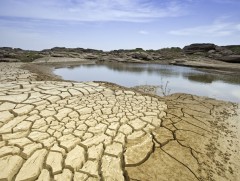 2021 он дэлхийн хамгийн халуун жилүүдийн нэг болжээ