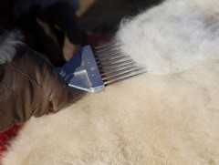 Ноолуурын чанар ба зах зээлийн боломж...