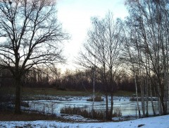 Сарын хуучийн тэнгэр