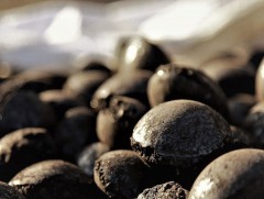 Арвайхээрийн иргэд шахмал түлш хэрэглэнэ