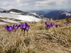 Шинэ сарын шинж: Тавдугаар сарын тэнгэр, цаг агаарын шинж төлөв