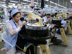 Нэмүү өртөг шингэсэн үйлдвэрлэл хөгжүүлэх боломж...