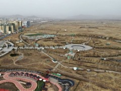 “Нэг энхийг сахиулагч-Нэг мод хөдөлгөөн”-д цагдаа, дотоодын цэргийн энхийг сахиулагчид нэгджээ