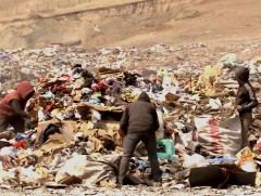 Бохирдуулагч нь төлбөр төлдөг байх хуулийн зохицуулалт хэрэгтэй байна 