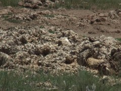 Мал төхөөрч, мах бэлтгэж нийлүүлдэг ААН-үүдэд бохир зайлуулах нэгдсэн систем шаардлагатай