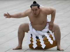 Миний ялалтын түүх: Мэргэжлийн сумогийн 68 дахь Их аварга Асашёорюү Д.Дагвадорж