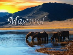 Ноос ба боломж