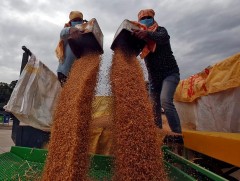 БНЭУ зарим улс руу улаан буудайн экспортоо үргэлжлүүлж байгаагаа мэдэгдэв 