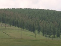 Ойн салбарт мэргэжлийн боловсон хүчин хангалтгүй байна