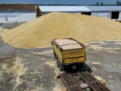 Европын холбоо Украины экспортын улаан буудайг газраар тээвэрлэхээр тохирлоо 