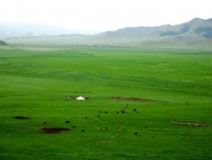 Талын Монгол