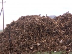 Эмээлт орчимд хаягдал яс их хэмжээгээр нөөцөлсөн нь орчны бохирдол үүсгэж байна