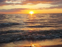 Алга болсон хоёр том хүн, гурван хүүхдийг эсэн мэнд оллоо