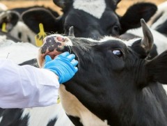 Малзүйч мэргэжил эрэлт хэрэгцээтэй байна