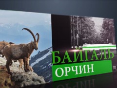 Богд уулын хамгаалалтын бүсийг өргөтгөж, нэмж газар олгохгүй, барилга бариулахгүй