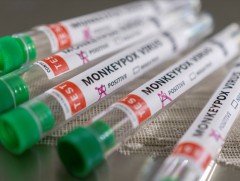 Нью-Йорк мужид сармагчны цэцэг өвчний улмаас онц байдал зарлалаа 