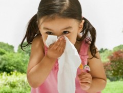 Ургамлын тоосны харшлаас сэргийлэх аргууд...