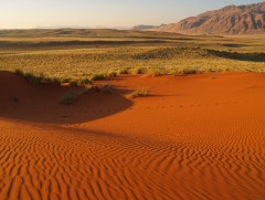 Монгол орны 120,3 сая га талбай цөлжилтөд өртжээ