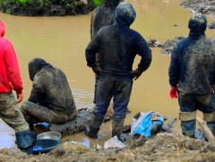 Иргэд хууль бусаар алт олборлосон байж болзошгүй хэргийг шалгаж байна