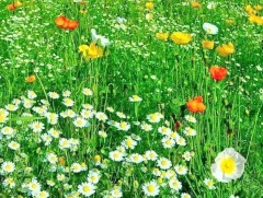 Сарын хуучийн тэнгэр