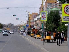 Улсын хэмжээнд жилд 1400 гаруй хүүхэд зам, тээврийн ослын улмаас гэмтдэг