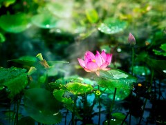 Бороотой зуны дурсамж