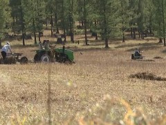 Байгалийн хадлангийн гарц муу байгаа учраас өвс нөөцлөх боломж тааруу байна