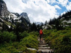 Явган алхах 5 шалтгаан