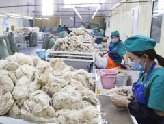 Хямд үнэтэй импортын бараатай дотоодын үйлдвэрүүдийн өрсөлдөх чадвар сул байна